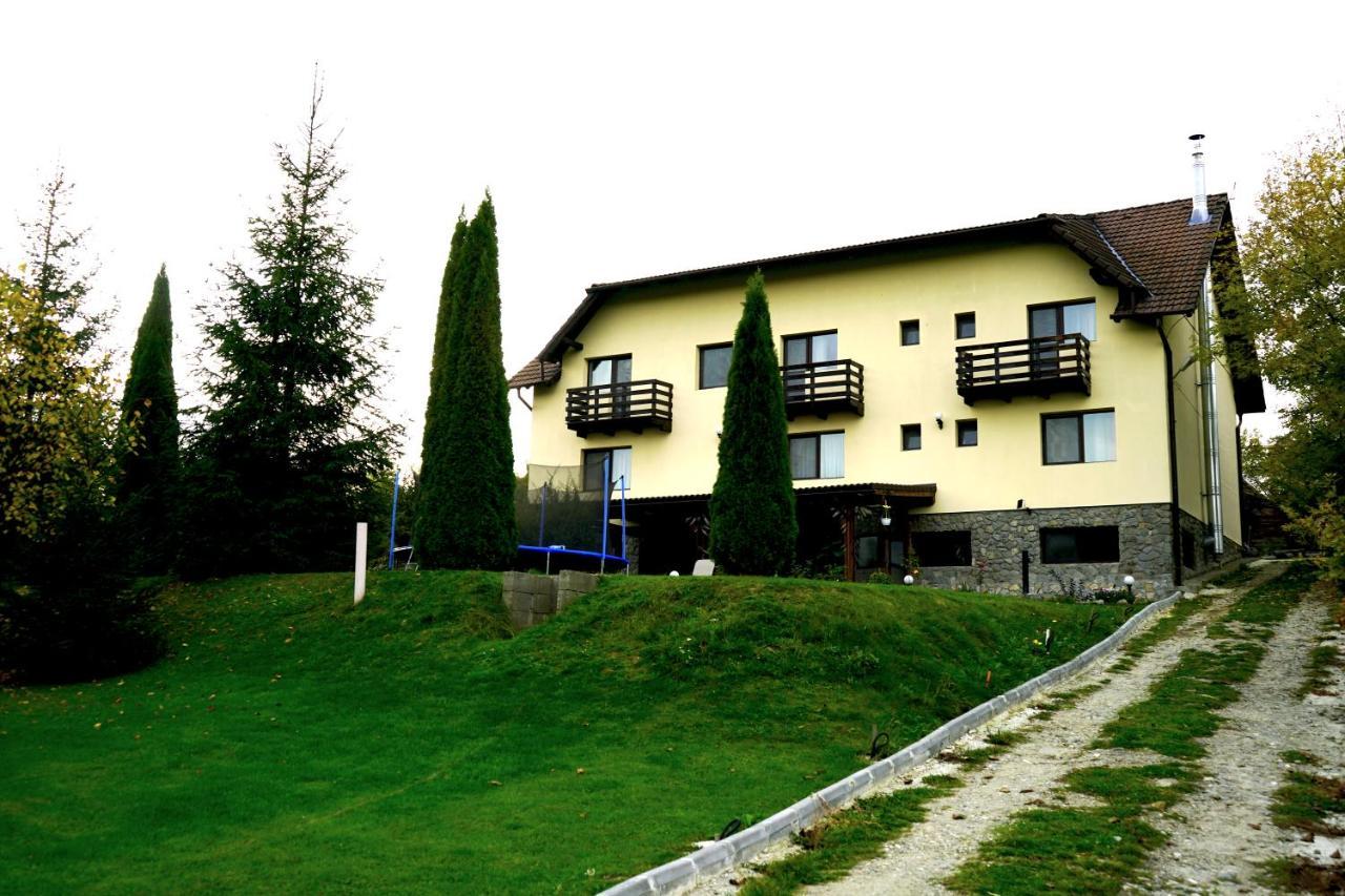 Vila Sohodol Travel Bran  Exteriör bild