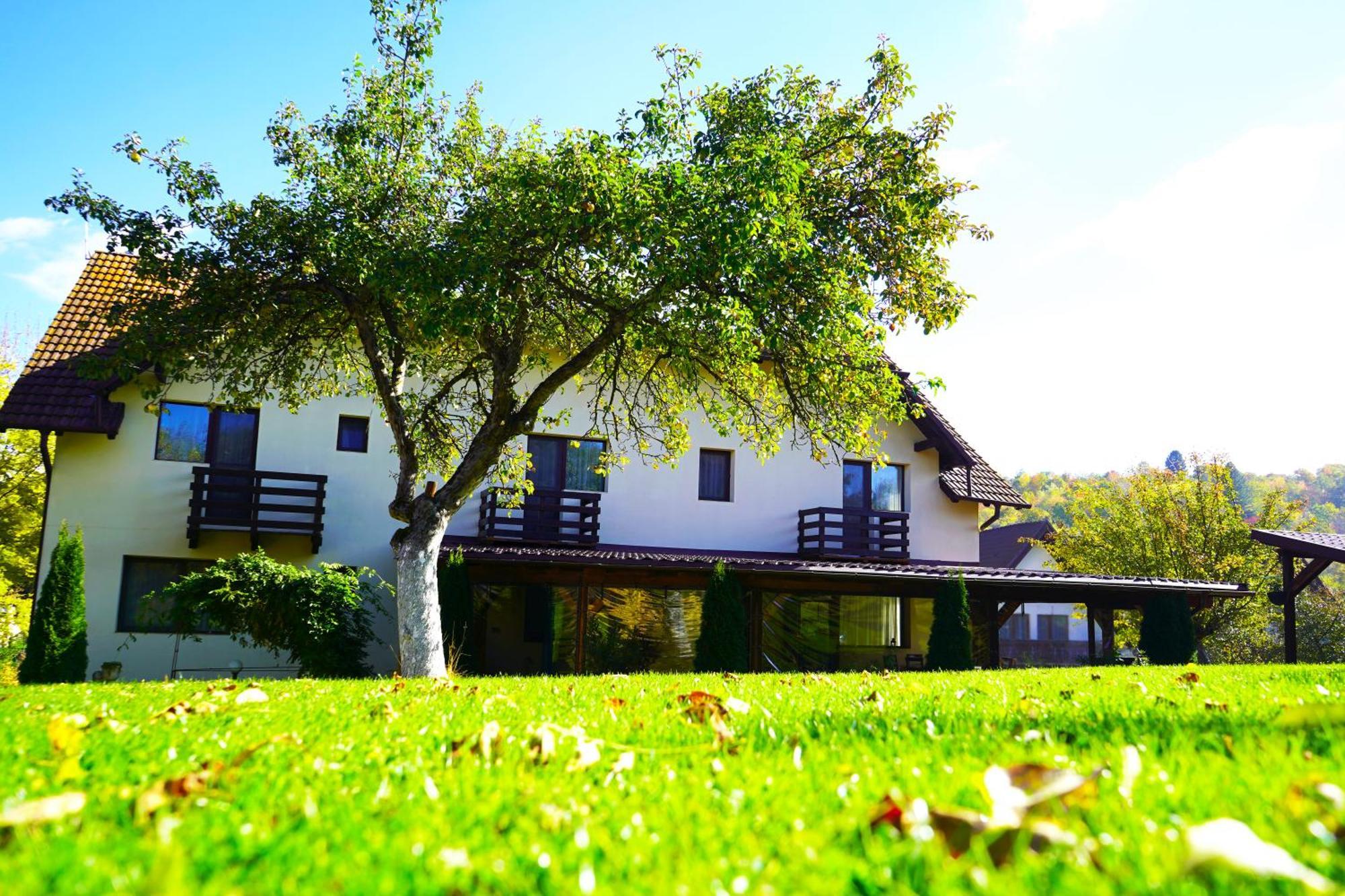 Vila Sohodol Travel Bran  Exteriör bild